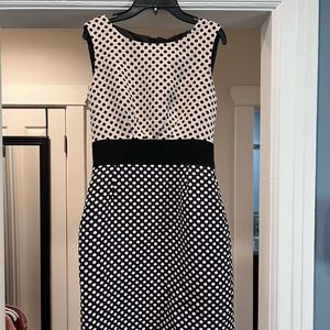 Tahari - Navy & cream polka dot dress
